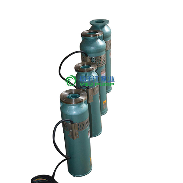 QS型充水�袷��水�泵