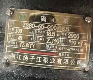 ZS80-65-200-18.5xı